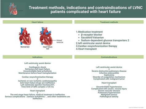 non lv|lv non compaction anticoagulation.